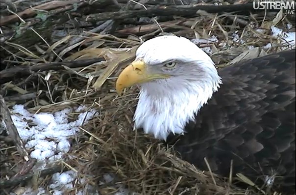 ScreenHunter_21 Feb. 21 11.01.jpg